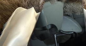 Fair
													Apple iPhone 12 Pro Max - T-Mobile, Pacific Blue, 128 GB, A2342, photo 5 of 11