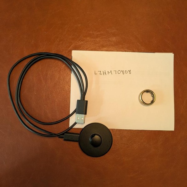 Oura Ring Gen 3 - Gold, Size 7, Horizon