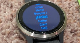 Mint
													Garmin Vivoactive 4 - Silver, photo 3 of 5