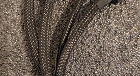 Used
													Asus GeForce RTX 4090 - TUF-RTX4090-O24G-GAMING, photo 6 of 6