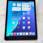 Good Apple iPad 9th Gen - Wi-Fi, 256 GB, Gray, A2602