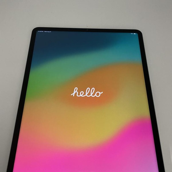 Apple iPad Pro 12.9 inch 6th Gen 2022 - Unlocked, 256 GB, Silver