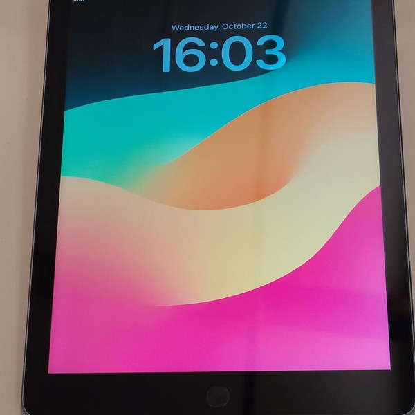 Apple iPad 6th Gen - Unlocked, 32 GB, Gray, A1954