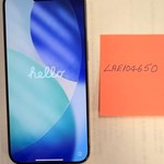 Good Apple iPhone 15 Pro Max - Unlocked, 256 GB, Natural, A2849