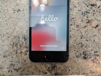 Apple iPhone SE 1st Gen 2016