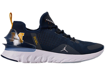 Jordan React Havoc Michigan for sale