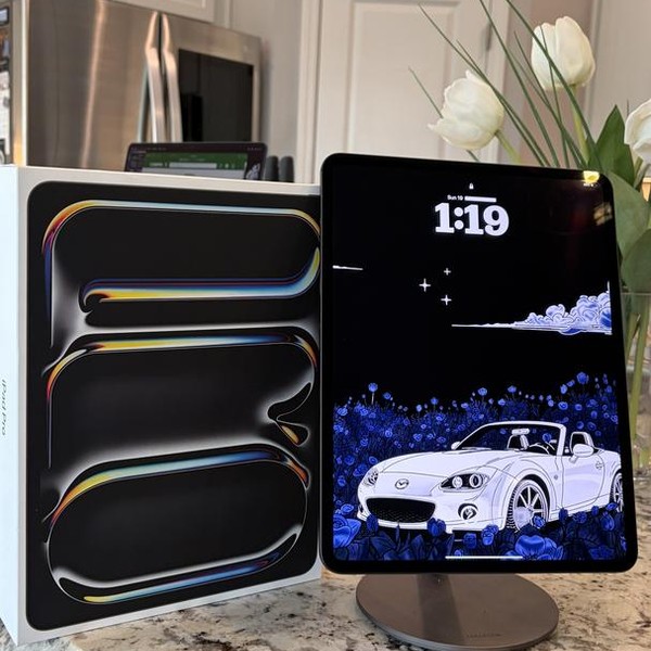 Apple iPad Pro 13 inch (M4) 2024 - Wi-Fi, 256 GB, Black, 8 GB, A2925, Standard Glass