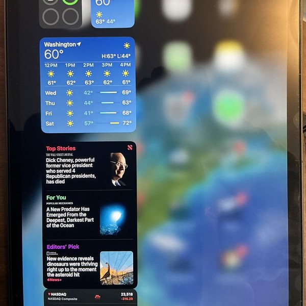 Apple iPad Pro 11 inch 3rd Gen 2021 - Unlocked, 256 GB, Gray