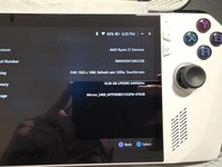 Asus ROG Ally 7"
