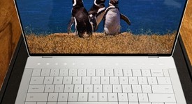 Mint
													Dell XPS Laptop, photo 1 of 12