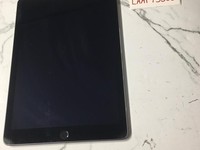 Apple iPad Air 2