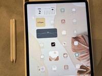 Apple iPad Pro 12.9" 5th Gen 2021