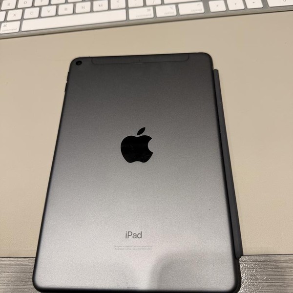 Apple iPad Mini (5th Gen) - Unlocked, 256 GB, Gray