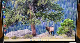 Mint
													Dell XPS Laptop, photo 3 of 12