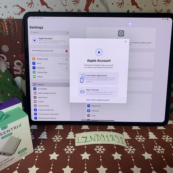 Apple iPad Pro 13 inch (M4) 2024 - Unlocked, 256 GB, Black, 8 GB, A2926, Standard Glass