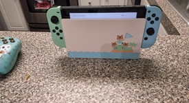 Mint
													Nintendo Switch - 32 GB, Animal Crossing: New Horizons, photo 1 of 7