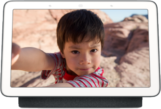 Google Nest Hub - Chalk