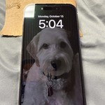 Good Apple iPhone 14 Pro - Unlocked, 256 GB, Silver, A2650