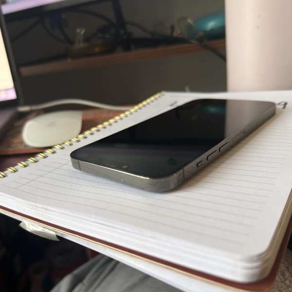 Apple iPhone 13 Pro Max - Unlocked, 256 GB, Graphite, A2484