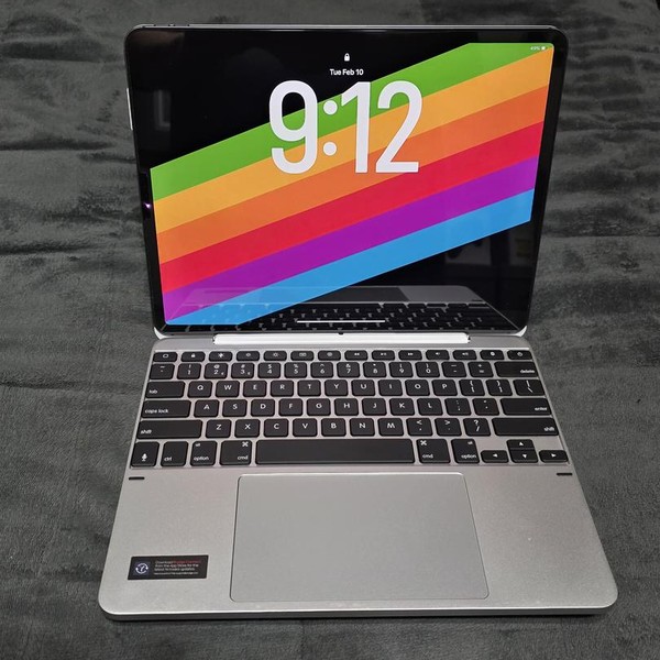 Apple iPad Pro 12.9 inch 4th Gen 2020 - Unlocked, 256 GB, Gray, A2069