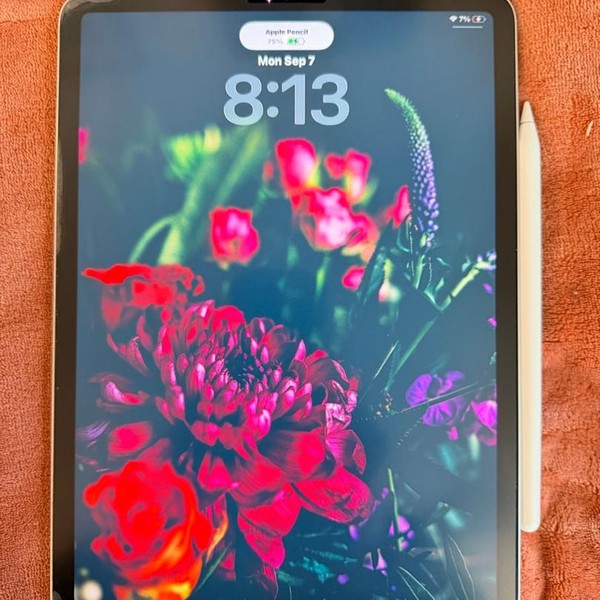 Apple iPad Pro 11 inch 2nd Gen 2020 - Wi-Fi, 128 GB, Silver, A2228