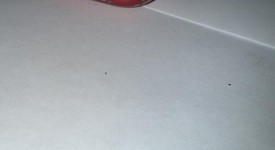 Fair
													Apple iPhone 11 - Unlocked, Red, 64 GB, A2111, photo 3 of 6