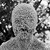 Seller: Jonathon T.