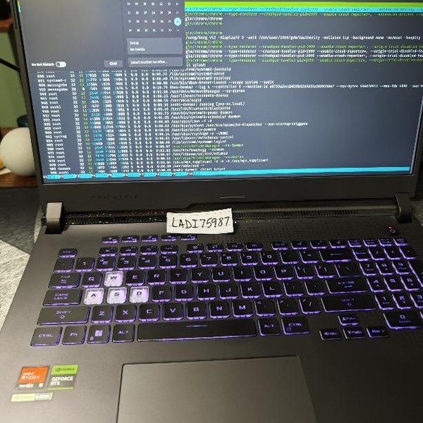 Asus ROG Strix G17 (2023) G713 - 1 TB, Gray, 16 GB, AMD Ryzen 9, QHD