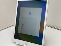 Apple iPad 8th Gen