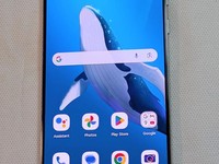 Moto G Stylus 5G (2024)