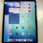 Good Apple iPad Pro 12.9 inch 5th Gen 2021 - Unlocked, 256 GB, Silver