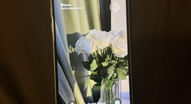 Good
													Apple iPhone 15 - Unlocked, Green, 128 GB, A2846, photo 1 of 6