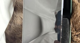 Fair
													Apple iPhone 12 Pro Max - T-Mobile, Pacific Blue, 128 GB, A2342, photo 3 of 11