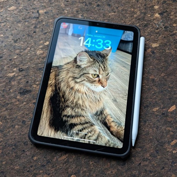 Apple iPad Mini 7th Gen - Wi-Fi, 256 GB, Space Gray, A2993