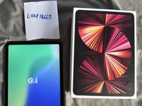 Apple iPad Pro 11" 3rd Gen 2021
