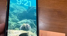 Good
													Apple iPhone 14 Plus - Unlocked, Starlight, 128 GB, A2632, photo 4 of 18