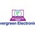 Seller: Evergreen Electronics