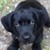 Seller: James K.