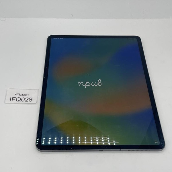 Apple iPad Pro 12.9 inch 4th Gen 2020 - Unlocked, 256 GB, Gray, A2069