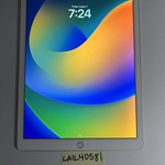 Good Apple iPad Pro 12.9 inch 1st Gen 2015 - Wi-Fi, 128 GB, Gray, A1584, 1st Gen 2015