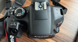 Mint
													Canon EOS Rebel T6, photo 4 of 8