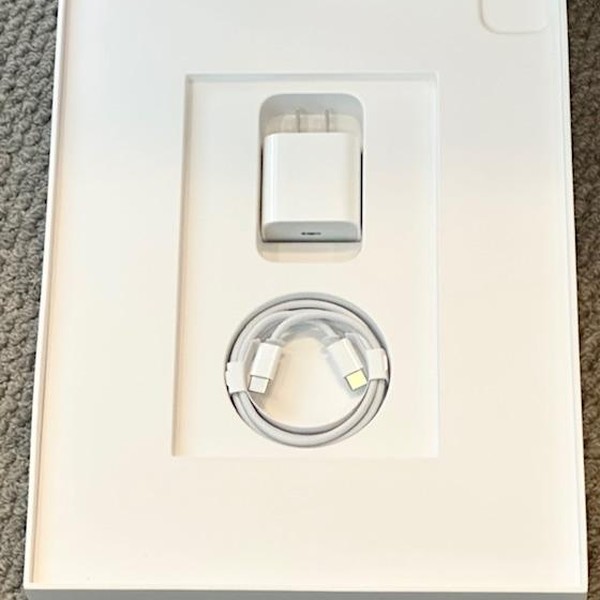 Apple iPad Pro 12.9 inch 4th Gen 2020 - Unlocked, 256 GB, Gray, A2069