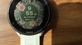 Mint
													Garmin Forerunner 955 - White, Standard, photo 2 of 6