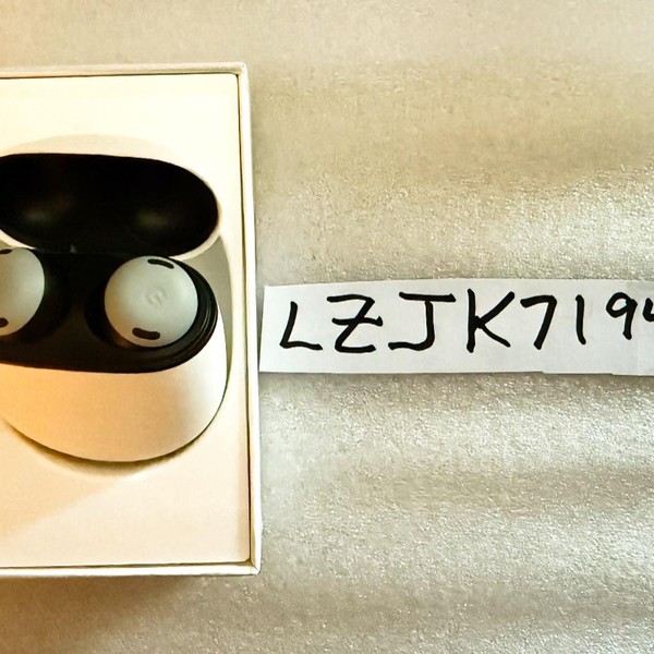 Google Pixel Buds Pro - Fog