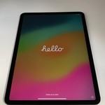Mint Apple iPad Pro 11 inch 3rd Gen 2021 - Unlocked, Gray, 256 GB