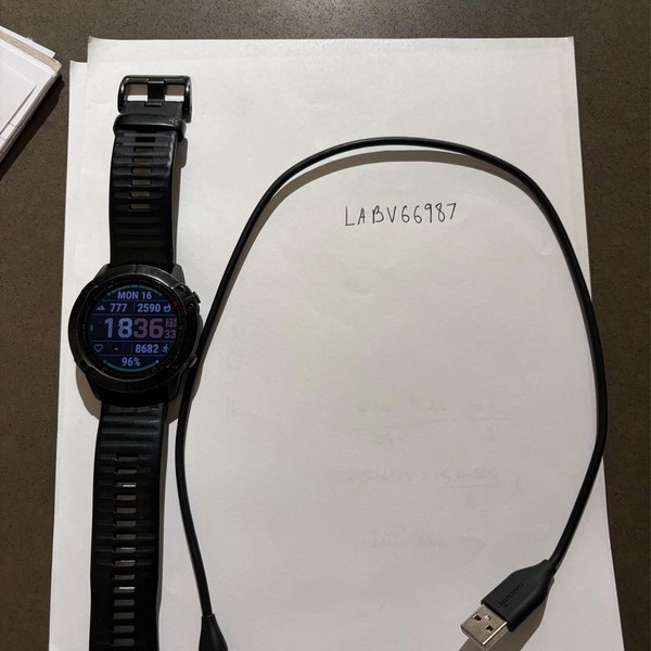 Garmin Fenix 6X - Black, Pro