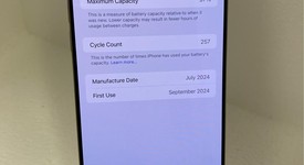 Mint
													Apple iPhone 16 Pro Max - Unlocked, Desert, 256 GB, A3084, photo 3 of 9