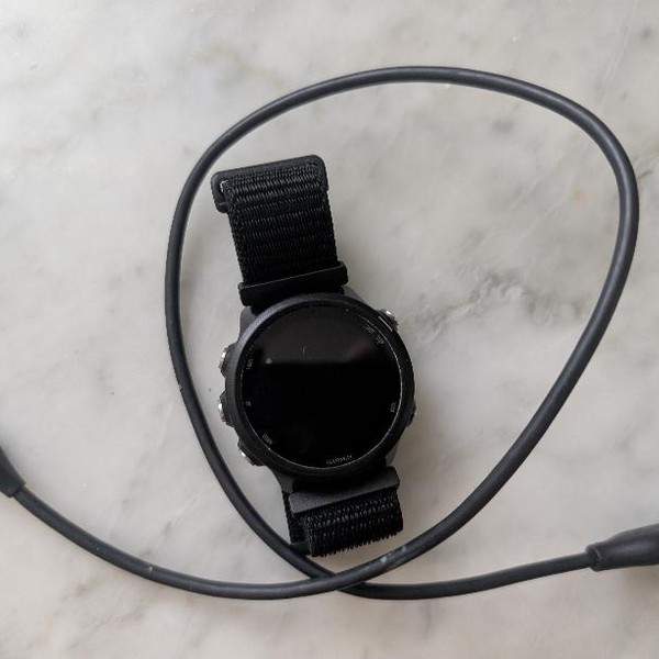 Garmin Forerunner 245 - Gray, Regular