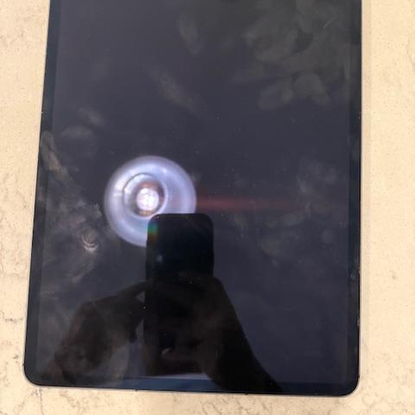 Apple iPad Pro 12.9 inch 5th Gen 2021 - Unlocked, 256 GB, Gray