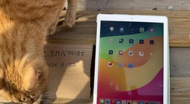 Fair
													Apple iPad Pro 12.9" 2nd Gen 2017 - Unlocked, Gold, 256 GB, photo 1 of 3